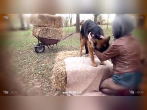 Experience bestiality from a new perspective with this dog sex video