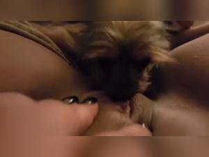 Discover the Ecstasy of Zoophilia