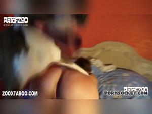 Zoophilia Video: An Extreme Experience