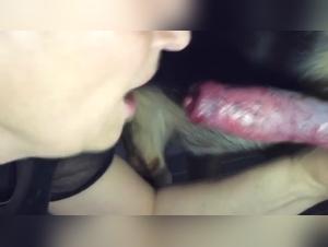 Enjoy the best bestiality content