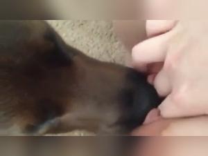 Discover the Pleasures of the Unpublished in our Bestiality Sex Video