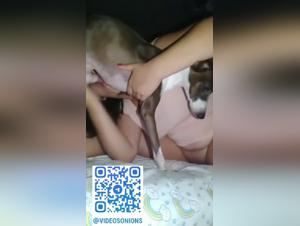 Vidéo Adultes : Femmes et Chiens dans une Passion Insatiable