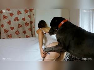 Watch K9Lady Star Maya in an Intense Doggy Sex Scene