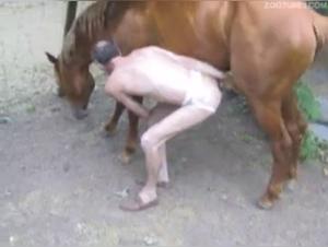 This mature man and stallion's banging is incredible