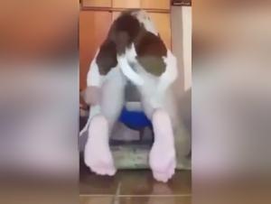 Intense and Exciting Sex Moments with Dogs
