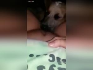 Dominazione canina: orgasmi selvaggi e inibiti