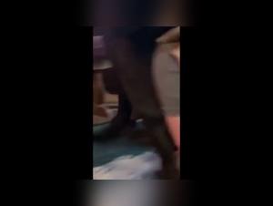 Extreme sex video with a woman and a dog