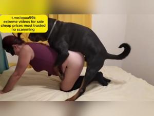 Discover the world of beastly sex with this dog sex video