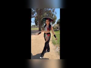 From Reality to Fantasy: Zoophile Video Exploration