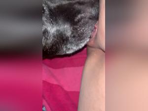 hund vergewaltigt teenager: rohe realitat