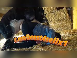jeji Pain, His Desire: Animal Love Unleashed
