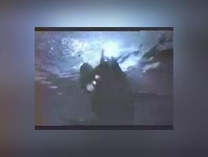 Bestiality in a new light: the dolphin and the woman