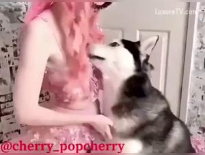 bestiality lovers gathering