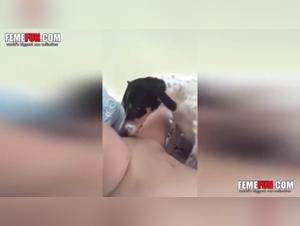 Video sulla bestialita: scopri il sesso con il cane