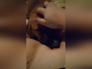 denise frazier context