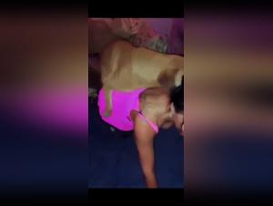 Exploring the Dog Sex Phenomenon