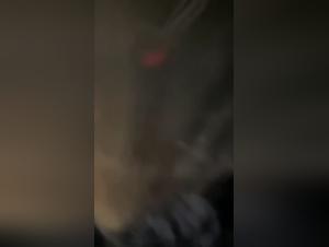 Female Immersion in the Bestial Realm