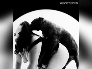 La piu grande chatte con cane di Denise Frazier prima di essere sfornata da lui