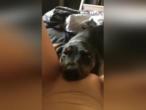 Hottest Dog Sex Porn Videos