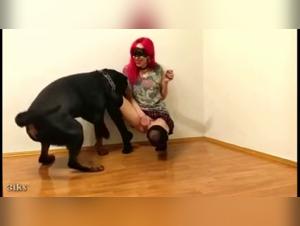 Dominazione canina: quando il potere del cane seduce