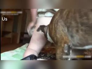 Zoophilia video with an experienced Russian