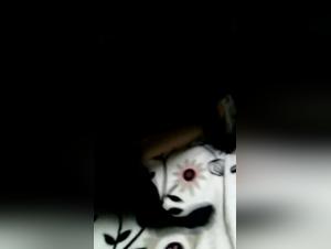 Zoophilia video with an Asian woman and her dog