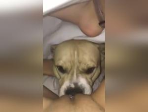 Bestiality at its Highest Level