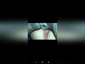 Discover the world of bestiality and sex with a dog