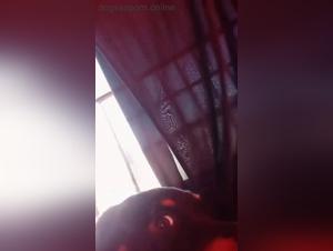 Crossing Boundaries of Animal Desire