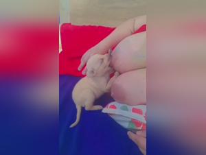 Allattamento Insolito