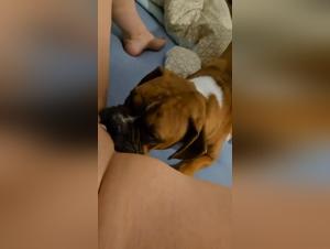 Una troia disonesta dal piacere bestiale