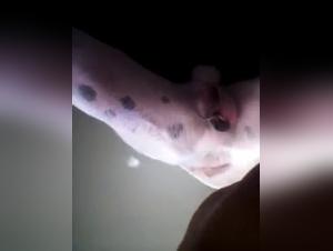 Watch this dog sex video