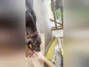 Cane divora la donna in una scopata selvaggia e ripugnante