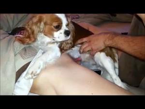 Hundemissionar: wilder Genuss