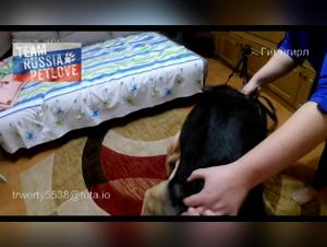 A Russian Teen's Unique Relationship