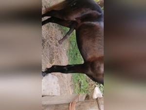 Explore the Limits of the Extreme