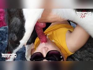 Dog Bestiality Videos Await You!