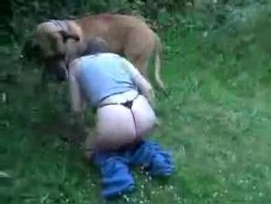 Colpa e piacere: l'eccitazione proibita di una relazione con il tuo cane