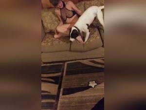 Grenzerkundungen: XXX-Video, in dem die Faszination fur den Hund uberhand nimmt