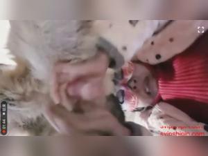 Explore our selection of animal sex videos