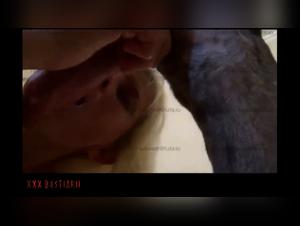 Excesses and Decadence: Animalistic Eroticism Unveiled