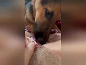 Canine Debauchery: Sodomy and Uncontrollable Banging