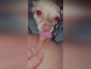 people fucking animals