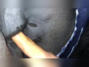 Unique Moments Between Humans and Horses