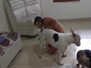 Intense Sex Scenes with Dogs