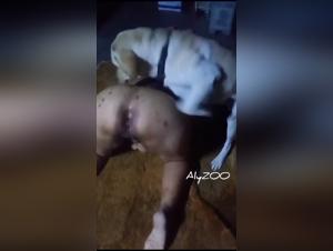Donna sottomessa, piacere bestiale, desiderio selvaggio