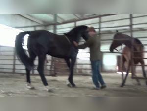 Etica infrante, limiti trasgressi