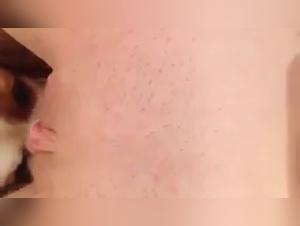 Extreme Sex Scene with a Dog: Don't Miss It!