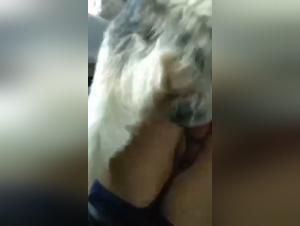 The Whore and Her Dog: A Game of Power and Obedience