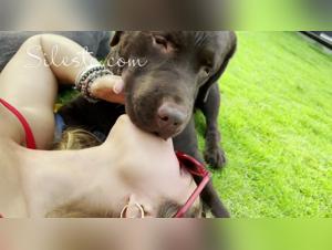 dirty hund und k9 hund